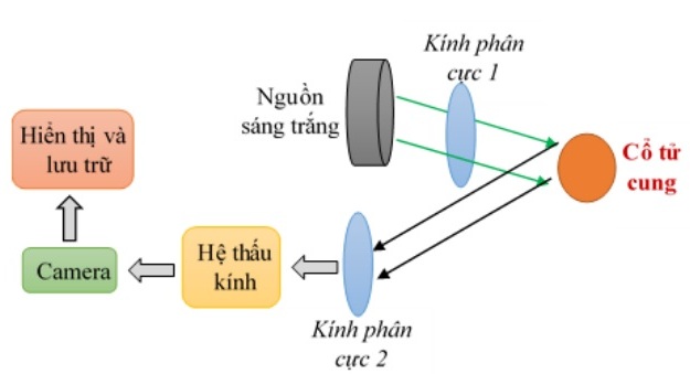 H2Nguyenlyhoatdong.jpg