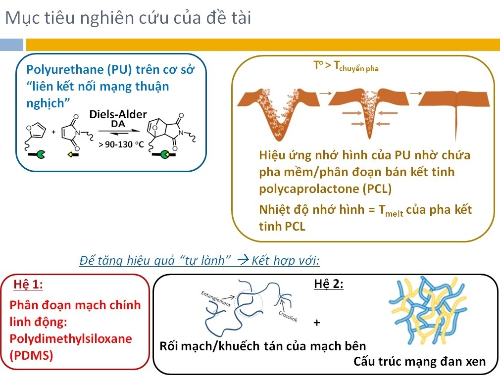 H7.jpg
